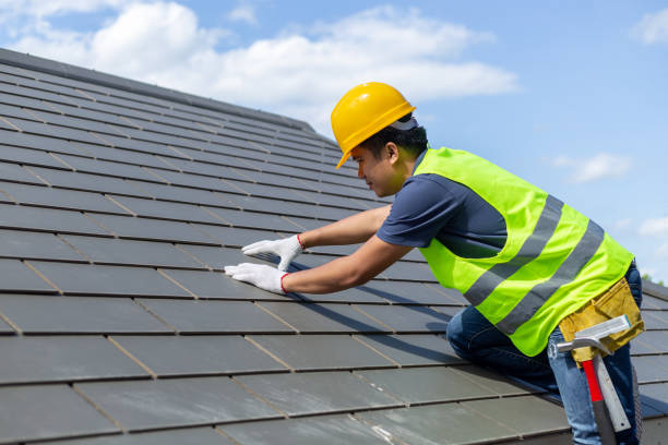 Best Roof Gutter Cleaning  in Walkerton, IN