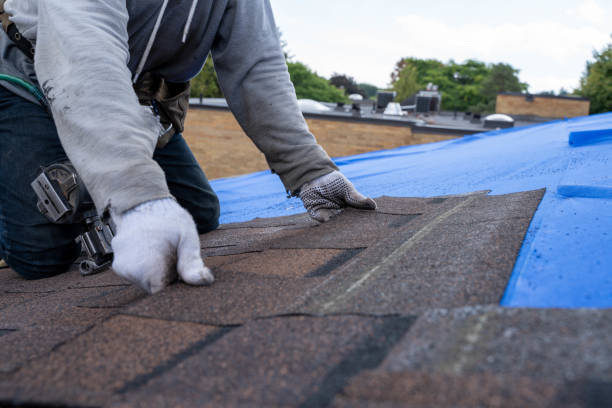 Best Residential Roofing Contractor  in Walkerton, IN