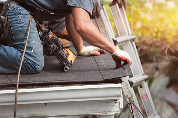 Best Flat Roof Repair Services  in Walkerton, IN